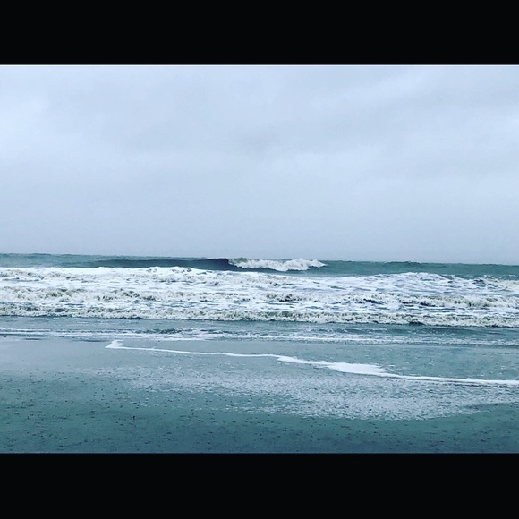 Meet your Posher, Brady - Picture 1 of 1